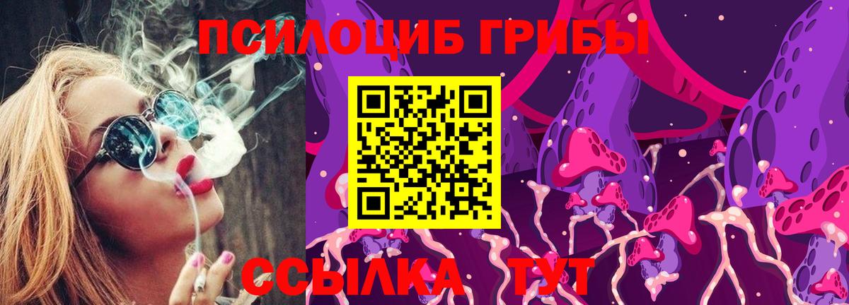 Кострома  Псилоцибиновые грибы Cubensis  Вход с VPN 